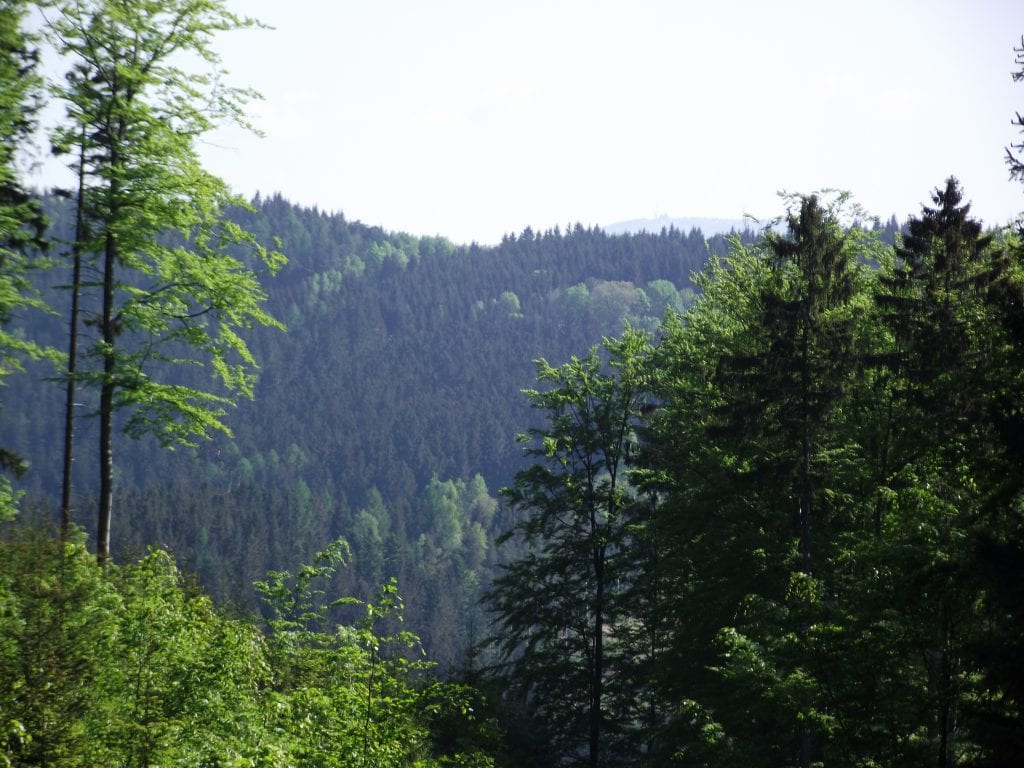 Turistiku lze dělat v hlubokých lesích i na stezkách
