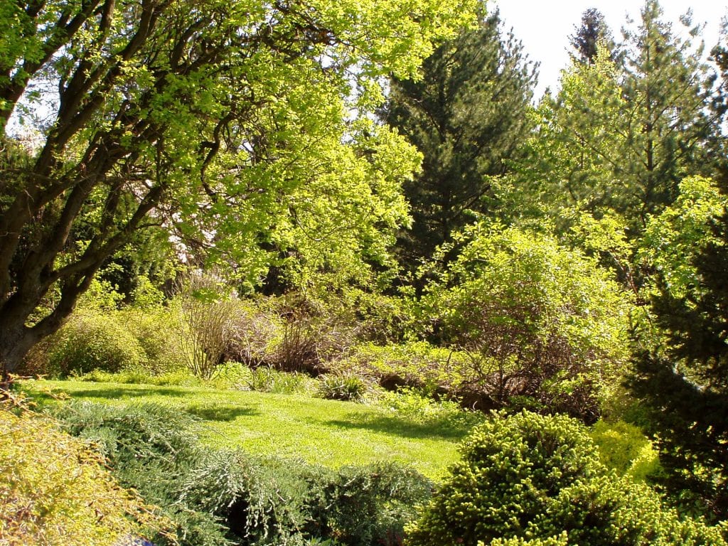 Pro Arboretum Nový Dvůr je příroda na prvním místě