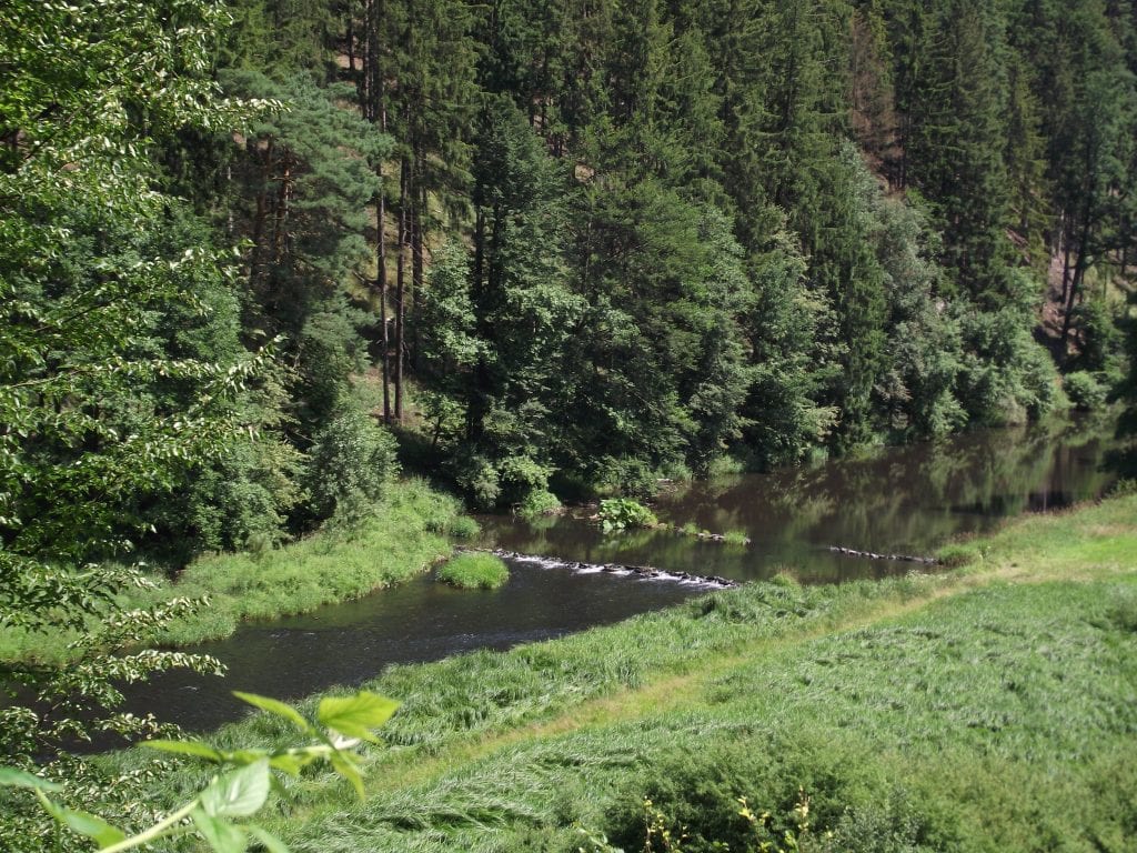 Řeka Moravice