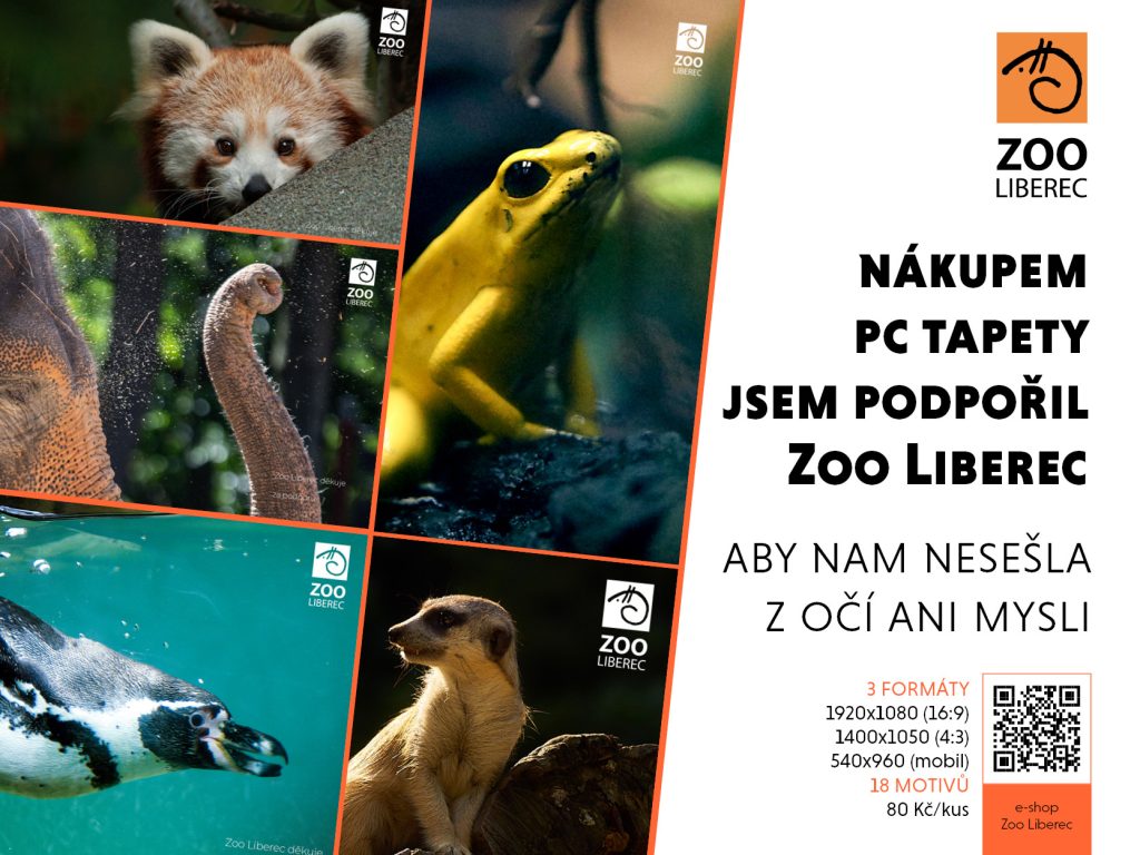 Nákupem PC tapety můžete podpořit Zoo Liberec.