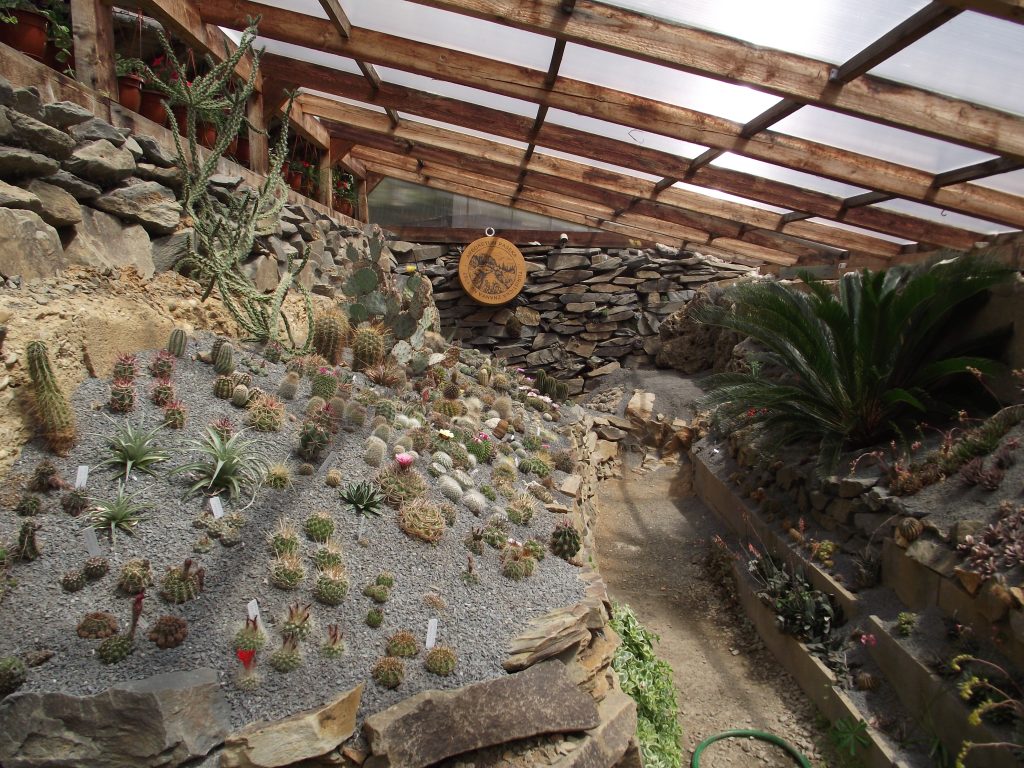 Ve skleníku uvidíte mnoho kaktusů.
