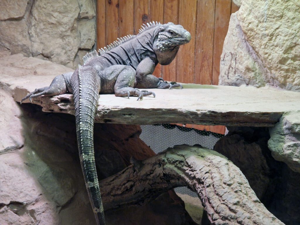 V Zoo Hodonín se velmi zasazují o zdravý přístup ke zvířatům a přírodě.