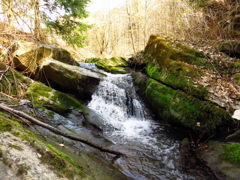 Křeptovský potok přivádí vodu přírodním památkám Hornosvratecké vrchoviny.