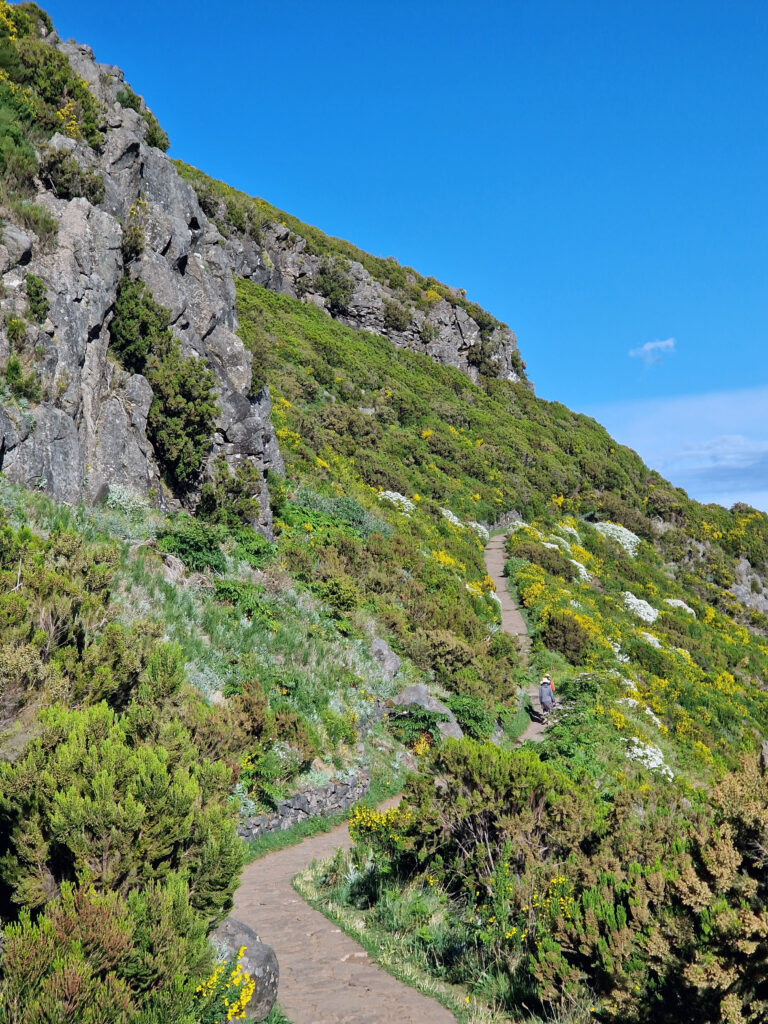 Okolí Pico Ruivo má bujnou zelenou vegetaci.