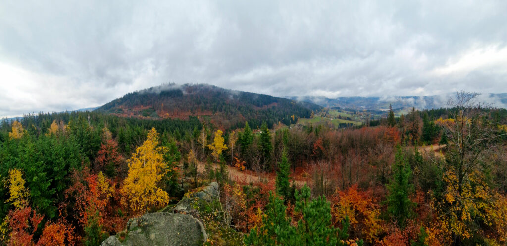 Lesy obklopující Špičku na podzim hrají barvami.