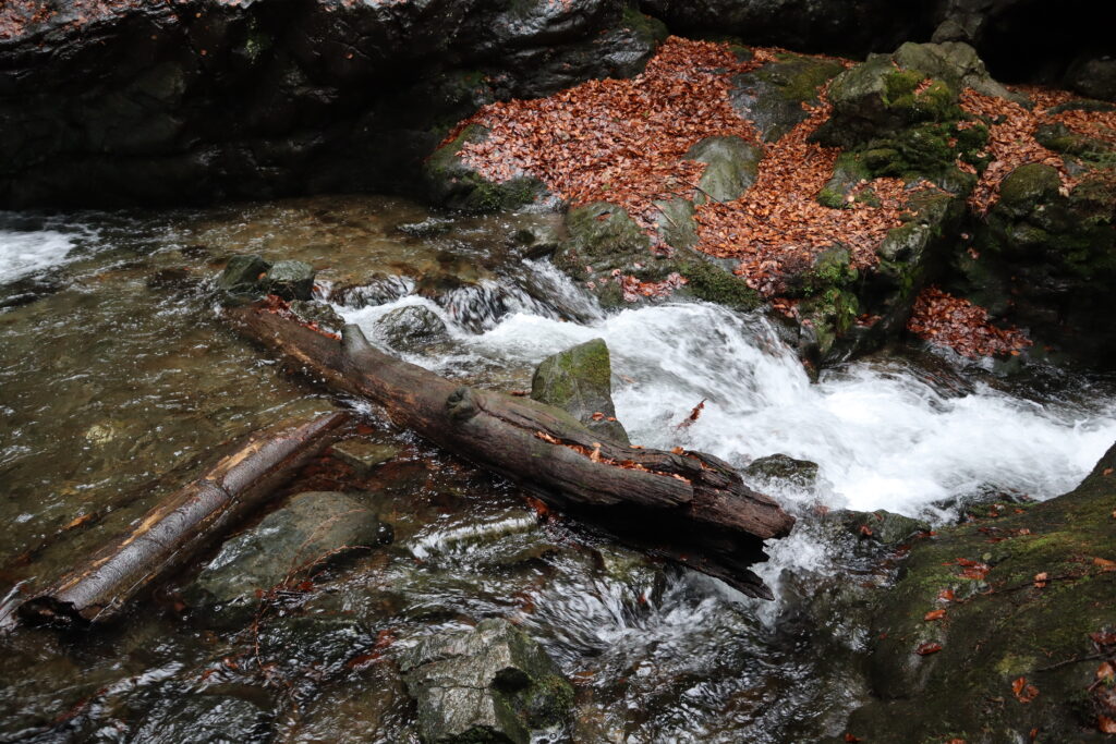 Voda se valí přes kameny i kmeny stromů.