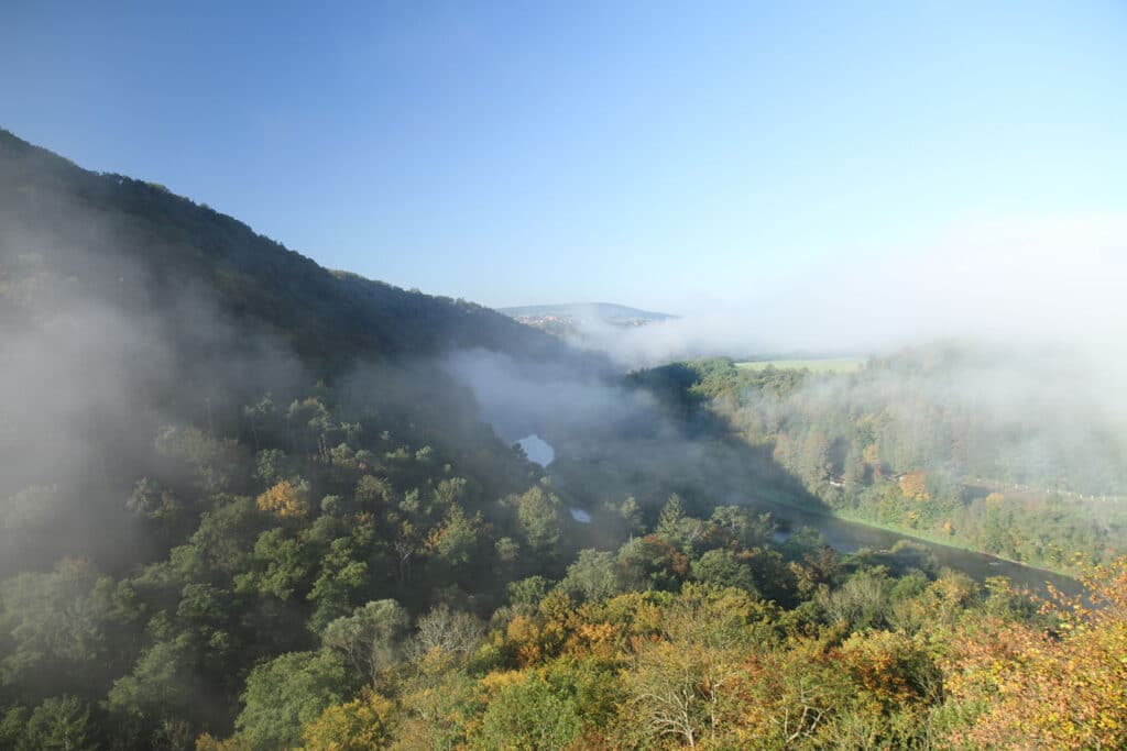 Národní přírodní rezervace Týřov.