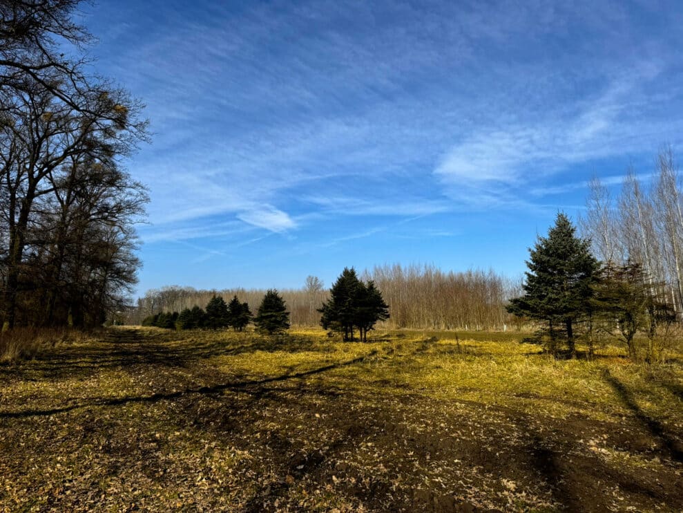 Rajhradská bažantice, klidná procházka přírodou