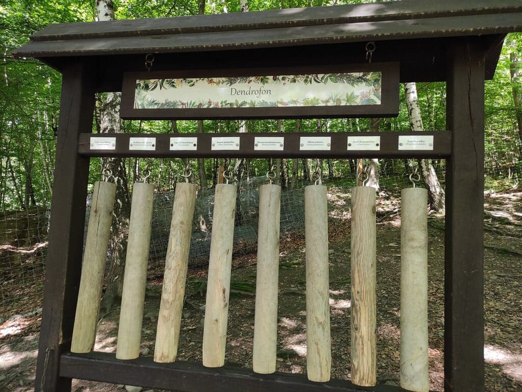 Vyzkoušejte dendrofon.