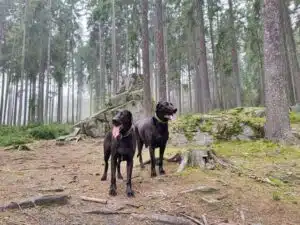 Jana Beranová a Tuláčci, aneb když se tipy na výlety píšou „psí řečí“