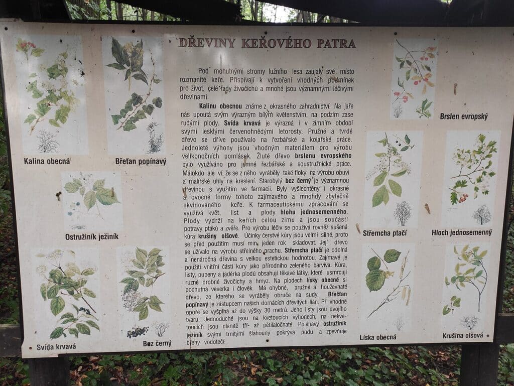 Seznámíte se s místní květenou.