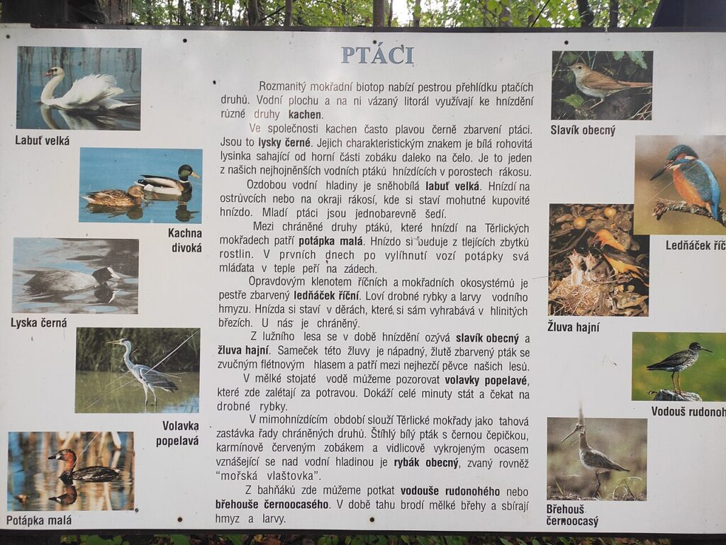 Žijí zde zajímaví ptáci.