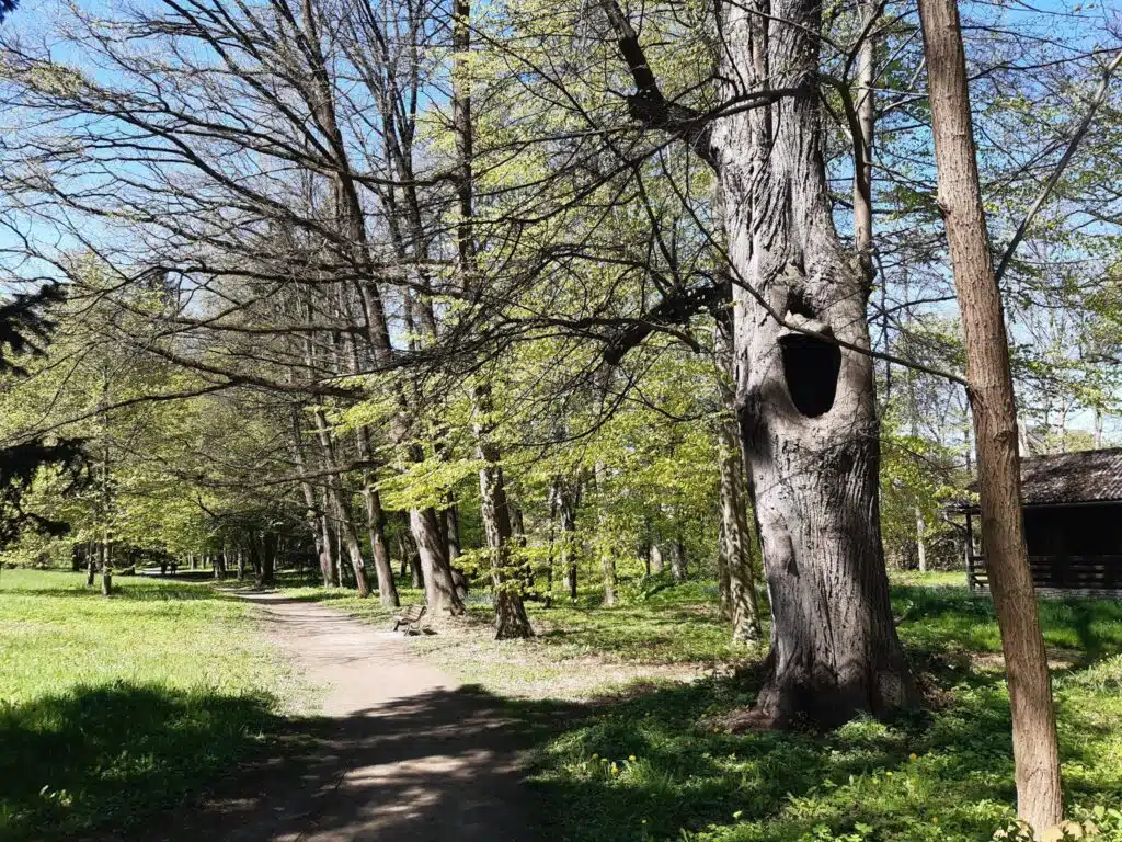 Zámecký park je nádherný.